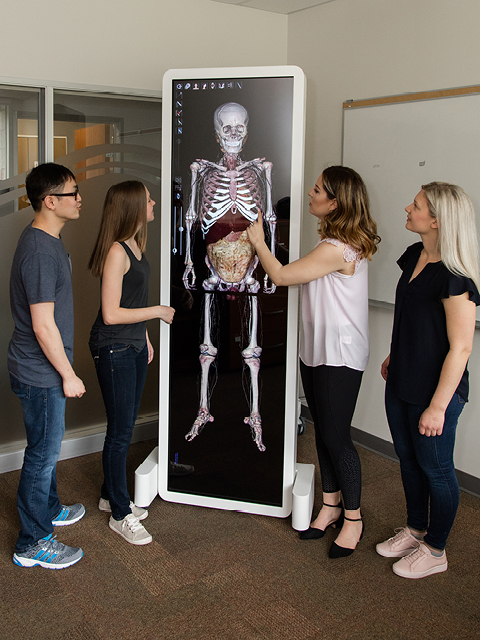 anatomage3